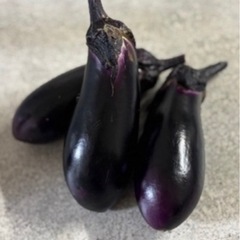 🍆採れたてなす🍆の画像