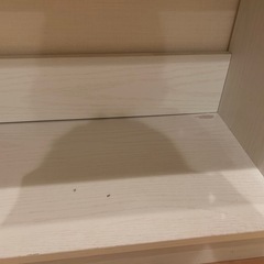 絵本　おもちゃ　棚の画像