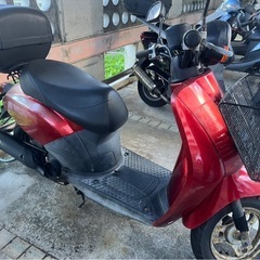 原付の画像