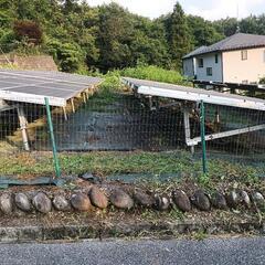 草刈り、掃除、庭一式等の画像