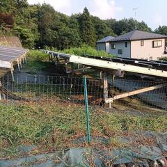 草刈り、掃除、庭一式等の画像