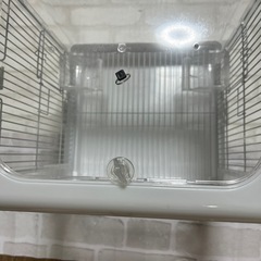 鳥かご 3面クリア 写真に 動画にの画像