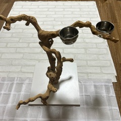 止まり木  自然木 写真映え  鳥 爬虫類の画像