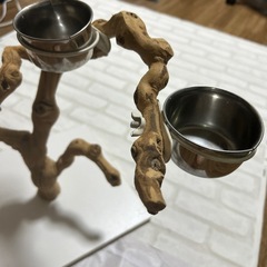 止まり木  自然木 写真映え  鳥 爬虫類の画像