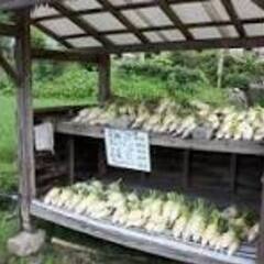 無人野菜売り場　使って