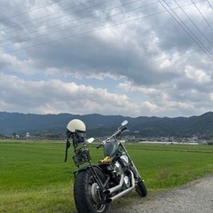 スティード400 チョッパー仕様の画像