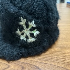 冬用キャスケットの画像