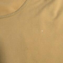 お譲り先決定しました！女性用Ｔシャツの画像