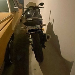 ニンジャ250Seの画像