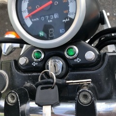 ボルティ250の画像