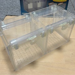 ビックフィッシュハウスの画像