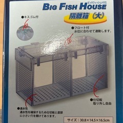 ビックフィッシュハウスの画像