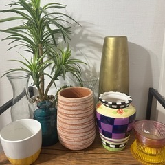 観葉植物用鉢などなどインテリアセットの画像