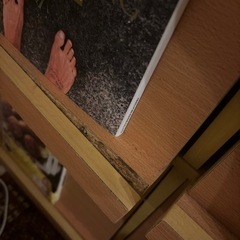 ディスプレイ棚の画像