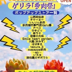 11/9 ゲリラ「多肉祭」臨時開催　