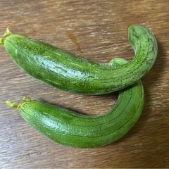 【とろける食感】自家栽培の無農薬ヘチマ（ナーベーラー）の画像