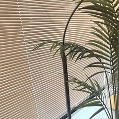 ブラインドの画像