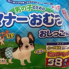 ペット用マナーオムツの画像