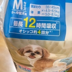 ペット用マナーオムツの画像