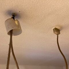 照明器具　ペンダントライトの画像