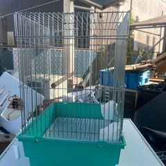 鳥箱🦜の画像
