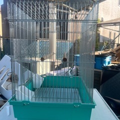 鳥箱🦜の画像