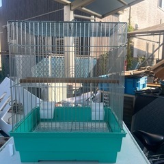 鳥箱🦜の画像