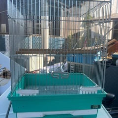 鳥箱🦜の画像