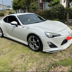 ZN686の画像