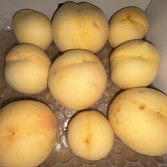 桃(白嶺白桃)在庫10箱  残りわずかの画像