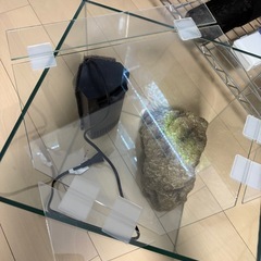コトブキ 30cmキューブ水槽の画像