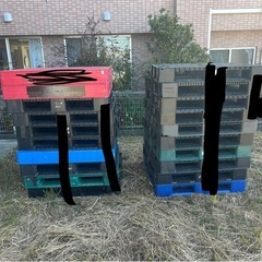 プラスチックパレット！
の画像