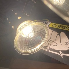Mycro sun＋マイクロン、MycroUV LED＋ストロングスタンドの画像