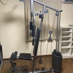 BODYMAKER　マルチホームジムDXの画像