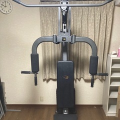 BODYMAKER　マルチホームジムDXの画像