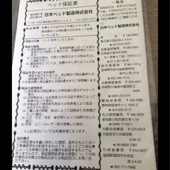 フランスベッド(クイーンサイズ)の画像