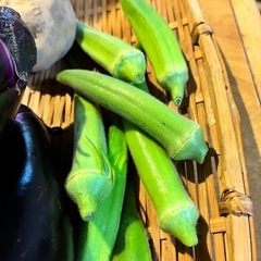 8/25夕採れ野菜セットの画像