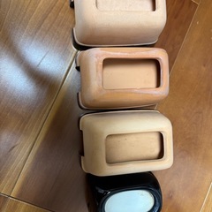 爬虫類　シェルターの画像