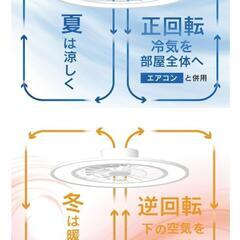シーリングファンライト  10畳の画像
