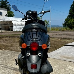 ホンダトゥデイ　ＡＦ６１　実働の画像
