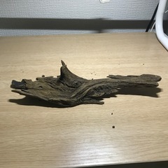 中古　流木➁ 27センチの画像
