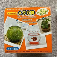 金魚鉢（使用済み）の画像