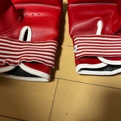 パンチンググローブの画像