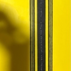 OG FLYER スパインテックの画像