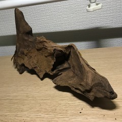 未使用　流木➃ 22センチの画像