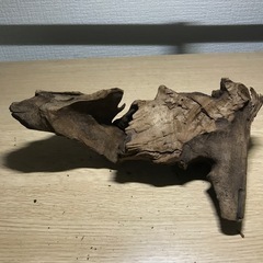 未使用　流木➃ 22センチの画像