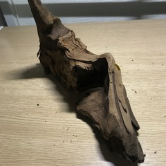 未使用　流木➃ 22センチの画像