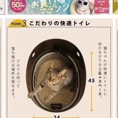 猫トイレの画像