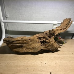 未使用　流木　カミハタ➄ 39センチの画像