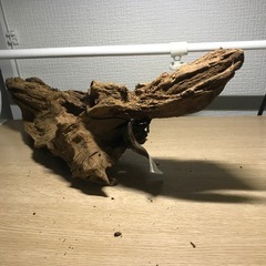 未使用　流木　カミハタ➄ 39センチの画像